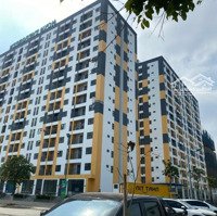 Đầu Tư Sinh Lời Căn Hộ Evergreen Tràng Duệ - An Cư Lập Nghiệp
