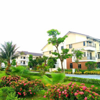 Lời Ngay 700 Triệu Khi Mua Sh-100M2, 3 Tầng, 6 Tỷ. Giá Ngang Chung Cư, Tại Kđt Centa Vsip Liên Hệ: 0865706187