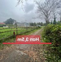 Cần Bán Lô Đất Tân Hạnh, Hoà Phước, Hoà Vang, Đà Nẵng