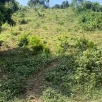 Bán 1800M2 Đất Ở Cao Sơn, Lương Sơn, Hoà Bình