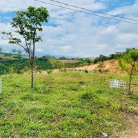Bán Gần 400M2 Đất Vị Trí Trung Tâm Xã Nam Hà, Sát Đường Nhựa Dh93