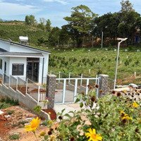 Bán Gần 400M2 Đất Vị Trí Trung Tâm Xã Nam Hà, Sát Đường Nhựa Dh93