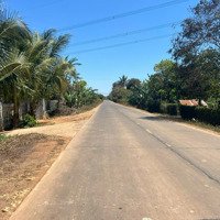 Đất Đẹp- Giá Rẻ Không Nên Bỏ Lỡ Diện Tích 7 X 35 Thổ Cư 60M2 - 199 Triệu
Cách Trường Tiểu Học.