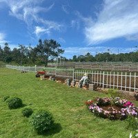 200M2 Mặt Tiền Âu Cơ Lộc Tân Full Thổ Cư