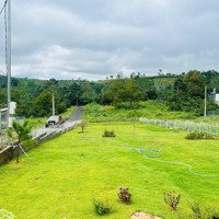 200M2 Mặt Tiền Âu Cơ Lộc Tân Full Thổ Cư