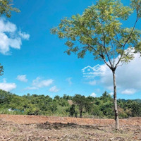 Bán Đất Đông Hà, Đông Hưng, Thái Bình, Giá Tốt 4,2 Tỷ, 153M2 Hàng Hot