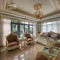 Bán Đơn Lập Ngọc Trai Siêu Hiếm Tại Vinhomes Ocean Park Gia Lâm, 60 Tỷ, 248 M2 Hoàn Thiện Full Đồ