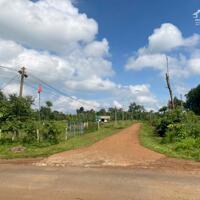  ĐẤT NÓNG EADƠNG – GIÁ TỐT CHO NHÀ ĐẦU TƯ!   Cơ hội đầu tư hấp dẫn – Đất đẹp, bằng phẳng, ngay khu dân cư!