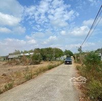Bán Gấp Đất Nhơn Trạch Gần Vành Đai 3, 25C Ra Sân Bay,Thổ Cư, Oto.giá Rẻ 3Ty/1100M. Gọi Ngay 24/24H
