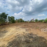 Bán Gấp Đất Nhơn Trạch Gần Vành Đai 3, 25C Ra Sân Bay,Thổ Cư, Oto.giá Rẻ 3Ty/1100M. Gọi Ngay 24/24H