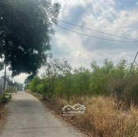 Bán Gấp Đất Nhơn Trạch Gần Vành Đai 3, 25C Ra Sân Bay,Thổ Cư, Oto.giá Rẻ 3Ty/1100M. Gọi Ngay 24/24H