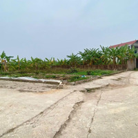 Siêu Phẩm Lô Góc - Trước Đất Ô Tô Tránh - Hiền Ninh - Sóc Sơn. Chỉ 1,5 Tỷ