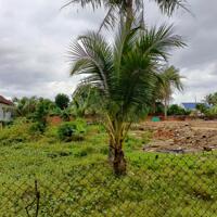 Cần bán lô Ninh Phụng  Ninh Hòa182m2 ngang 6m.  Gần QL26, đường rộng dân đông,