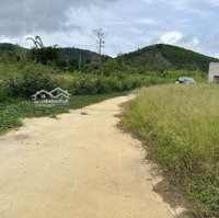 Cần Bán Gấp 25 Nền Lộc Thành Bảo Lâm Thích Hợp Đầu Tư