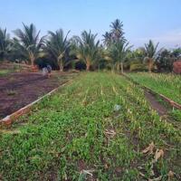  ĐẤT GIÁ Tốt Nhất Phường Khánh Xuân • Cách Ngã 3 Duy Hòa và Quốc Lộ chỉ 1km • Diện tích 5x22m( nở hậu 6m),