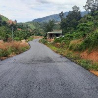 Bán 14000M2 Đất Trồng Cây Lâu Năm, Thôn 9 Xã Lộc Nam, Bảo Lâm, Lâm Đồng