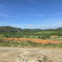 Chính Chủ Đi Định Cư Bán Sỉ 44 Nền Lộc Thành - Giá Yêu Thương