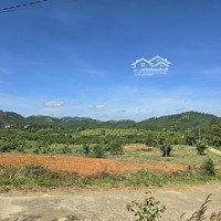 Chính Chủ Đi Định Cư Bán Sỉ 44 Nền Lộc Thành - Giá Yêu Thương