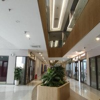 Hot!! Bán Shop House Chân Đế Sky Oasis Hiện Đang Cho Thuê 50 Triệu/Tháng