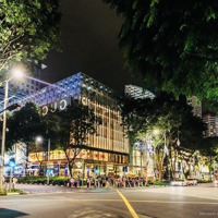 Bán Np Trần Quang Khải, Hoàng Văn Thụ, Hồng Bàng, Hải Phòng 21 Tỷ, 89M2