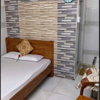 Cần Bán Gấp Khách Sạn Mini Mặt Phố P1 Q5, Diện Tích: 41M2, Giá Bán 13,5 Tỷ Tl