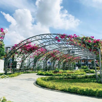 Giỏ Hàng Nhiều Căn Nhà Thô Gói 8 Mỹ Gia, Vị Trí Đẹp Giá Tốt Chỉ Từ 4,65 Tỷ/Căn. Lh Em 0931800111