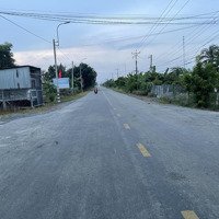 Cần Bán 1810 M2 Đất Luc 33X55, 55M Mặt Tiền Đường Bê Tông 3M Giá 570 Triệu/Công. Cách Nhựa Tl832 200M