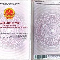 Bán Đất Tặng Nhà Cấp 4 Xã Tân An Hội, Củ Chi, 145M2, Shr, 1,4 Tỷ