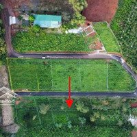 Chủ Kẹt Tiền Trả Nợ Giá Mua 1Tỷ7 Bán Lỗ 1Tỷ2 /502M2 Ngay Hồ Nam Phương, Phường Lộc Phát, Bảo Lộc