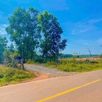 Chủ Kẹt Tiền Trả Nợ Giá Mua 1Tỷ7 Bán Lỗ 1Tỷ2 /502M2 Ngay Hồ Nam Phương, Phường Lộc Phát, Bảo Lộc