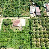 Bán Đất Tại Bình Thuận, Buôn Hồ, Đắk Lắk, 229 Triệu, 150M2 Giá Ưu Đãi