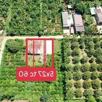 Bán Đất Tại Bình Thuận, Buôn Hồ, Đắk Lắk, 229 Triệu, 150M2 Giá Ưu Đãi