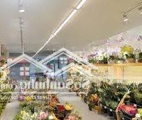 Cho Thuê Nhà Mặt Phố Thọ Lão: Diện Tích 55M X 2 Tầng, Mặt Tiền 6M, Thông Sàn, Nhà Mới, Kd Tốt