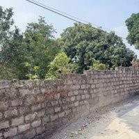 Bán Lô Góc 600M 150M Thổ Cư- Sổ Đỏ Hà Nội Đầu Tư Xây Nhà Vườn Giá 4 Triệu/M2.