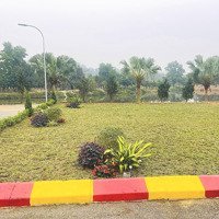Cắt Lỗ 400 Triệu Mảnh Đất Sát Tổ Hợp Đh Quốc Gia, Đh Fpt, Ngã Tư Hoà Lạc Gần 2 Tỷ
