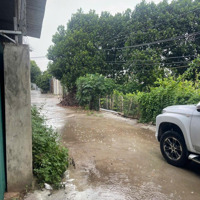 Bán 1250M2 Đất Chồng Cây Lâu Năm Sổ Đỏ Chính Chủ Tại Yên Sơn, Quốc Oai Giá 3. 8 Triệu/M2