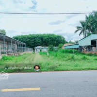Bán Đất Tại Đường Trần Thị Cẩm Ngay Ubnd Xã Tân Phú Trung, Củ Chi, Chỉ Với 1 Tỷ 650.Diện Tích90M2 Thổ Cư