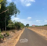 Bán Đất Tại Xã Long Bình, Phú Riềng, Bình Phước, 350 Triệu, 297 M2 - Hot