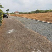 Bán Đất Tại Xã Long Bình, Phú Riềng, Bình Phước, 350 Triệu, 297 M2 - Hot