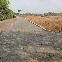 Bán Đất Tại Xã Long Bình, Phú Riềng, Bình Phước, 350 Triệu, 297 M2 - Hot