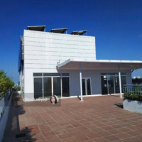 Penthouse Charmington Quận 10 Cho Thuê Ở/ Văn Phòng Có Sân Thượng Riêng