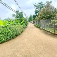 ĐẤT VƯỜN 1000M² GIÁ CHỈ 790 TRIỆU GẦN DẦU GIÂY – CÂY ĂN TRÁI HỆ THỐNG ĐIỆN NƯỚC