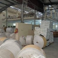Độc Hiếm - Ngọc Hồi Thanh Trì 3200M 42Tỷ