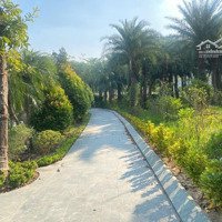 Bán Nhà Biệt Thự Nam Hồng Garden Từ Sơn, Giá Thỏa Thuận, 171M2