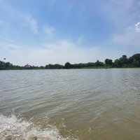 Bán Đấtmặt Tiềnsông Bà Hồngdiện Tích5000M2, 300M2 Thổ Cư, Khu Dân Cư Hiện Hữu, Vị Trí Đẹp, Dân Cư Đông