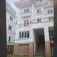 Biệt Thự Song Lập Cho Thuê Làm Văn Phòng, Kho, Ở