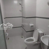 Cho Thuê Chung Cư Felisa, Q.8 Diện Tích