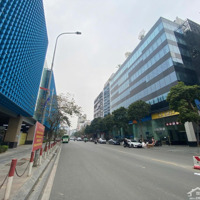 Cho Thuê Mặt Bằng 1300M2 Building Hạng B Tại Cát Linh Đống Đa Có Tách Nhỏ Từ 150M2 Làm Mọi Mô Hình
