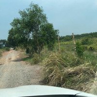 Cho Thuê 5 Triệu/Th Hơn 9000M2 Đất Trống Gần Ngã 3 Bà Lát Cách Trần Văn Giàu 300M