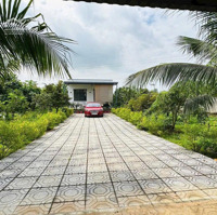 Bán Nhà Vườn Hoà Long , Long Phước Đường 92- Hương Lộ 2 Bà Rịa-Vũng Tàu